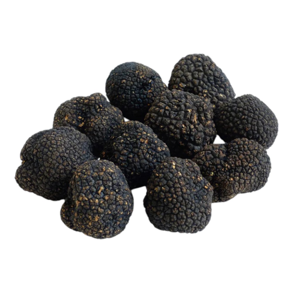 Taze Siyah Trüf Mantarı – Tuber Aestivum (500 gr)