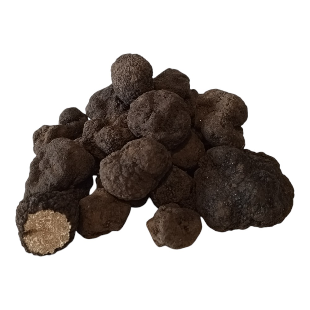 Taze Siyah Trüf Mantarı – Tuber Aestivum (1000 gr)
